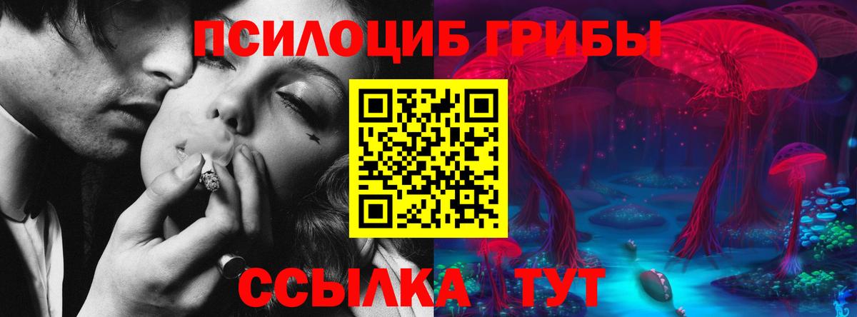 Псилоцибиновые грибы ЛСД Междуреченск
