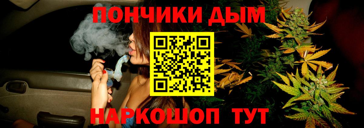 Бошки Шишки Amnesia Междуреченск